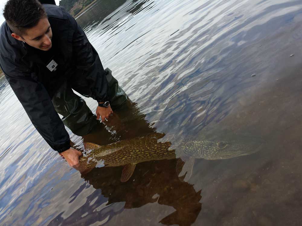 peche brochet salagou mediatisse