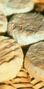 Fromages du Salagou - Chèvre Vache Brebis